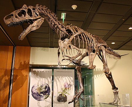 ไฟล์:WLA_hmns_Allosaurus.jpg