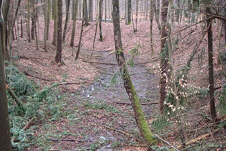 Wassergraben Röderburg