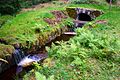 Oberharzer Wasserregal - Rothenberger watercourse and adit