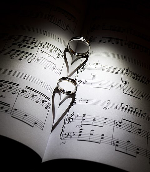 Nhẫn cưới đổ bóng có hình trái tim - biểu tượng của tình yêu. Hình: Petar Milošević