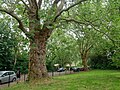 West end of Southwark Park. [318]