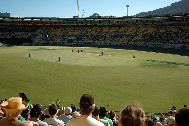 File:Westpac Stadium Cricket luving Crowd.jpg