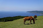 Pienoiskuva sivulle Miyazakin prefektuuri