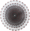 Witting polytope, , has 240 vertices, 2160 3-edges, 2160 3{3}3 faces, and 240 3{3}3{3}3 cells