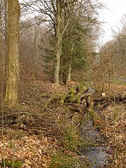 Category:Bodies of water in Münster (Westfalen) - Wikimedia Commons