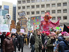 Women's March on Washington 21 January 2017