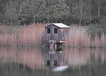 small lakeside wooden house