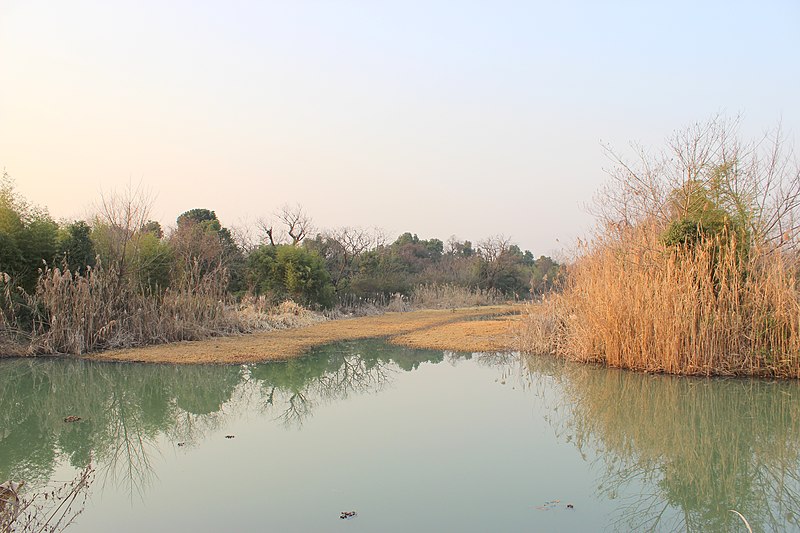 File:Xixi Wetland Park, Hangzhou,杭州西溪湿地 - panoramio (1).jpg