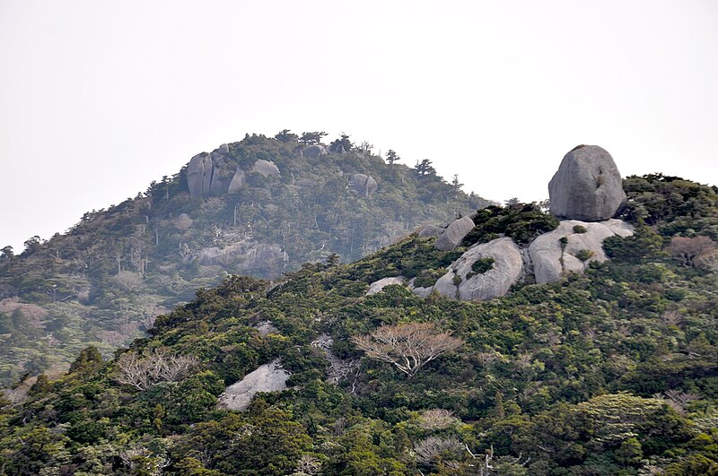 File:Yakushima Miyanouradake.JPG