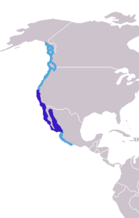 Distribución (en azul escuro colonias de cría, a distribución total en celeste). En vermello a distribución do Zalophus californianus de Galápagos.