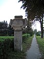 Zamość - ul. Szczebrzeska - pomnik 1580 annus conditionis civitatis (03) - DSC01403.jpg