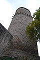 Zvíkov castle (3).jpg