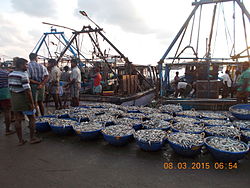 'Rameswaram fishing port'.JPG