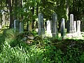 Čeština: Pohled k nesnadno přístupnému židovskému hřbitovu u Přehořova přes zeď, okres Tábor English: Over-the-wall view of the hard-to-access Jewish cemetery by the village of Přehořov, Tábor district, Czech Republic