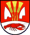 Wappen von Žikava