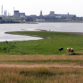 Berezniki - panoramio.jpg