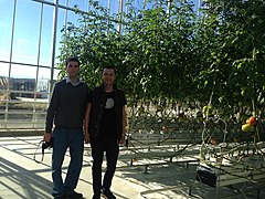 Participants of the Agroexpedition visiting the Balkan Green house for growing tomatoes