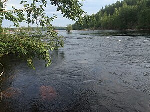 Вид по течению