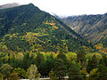 Bergen en hellingbossen in Biosfeerreservaat Teberdinski.