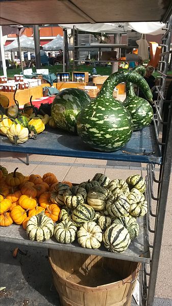 Gourds at a market in Massachusetts