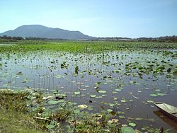 Laguna Sakata