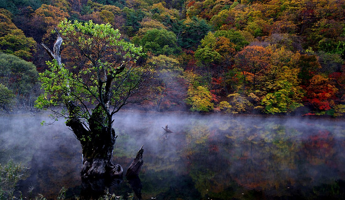 North Gyeongsang Province