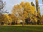 Autumn colour, Bourne, Lincolnshire, UK