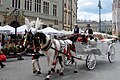 * Nomination Fiaker in Krakau, Poland --Silar 09:44, 13 July 2014 (UTC) * Decline Bad crop on left. Perspective issues. Horse foot crossing image border. Sorry, no QI for me. --Cccefalon 05:44, 14 July 2014 (UTC)