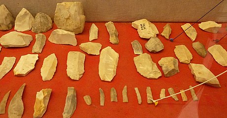 Objets trouvés dans le site préhistorique de Beg-ar-C'Hastel en Kerlouan