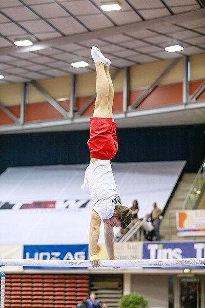 File:15th Austrian Future Cup 2018-11-24 Daniel Zander (Norman Seibert) - 10535.jpg