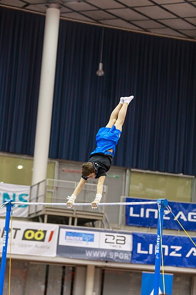 File:15th Austrian Future Cup 2018-11-24 Massimo Cerfogli (Norman Seibert) - 10563.jpg