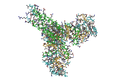 1B08 Lung Surfactant Protein D Sp-D