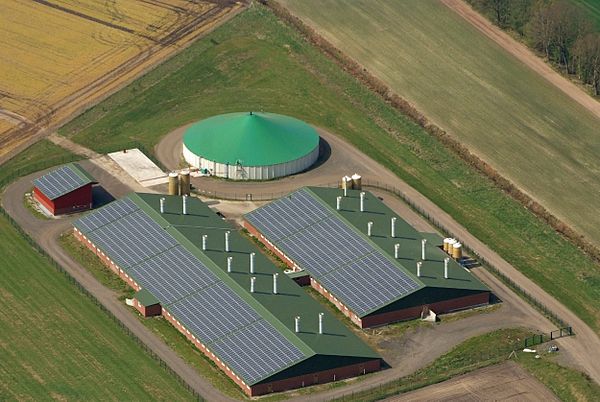 Example of Distributed generation use of renewable energies: Agricultural business with biogas plant and photovoltaic roof