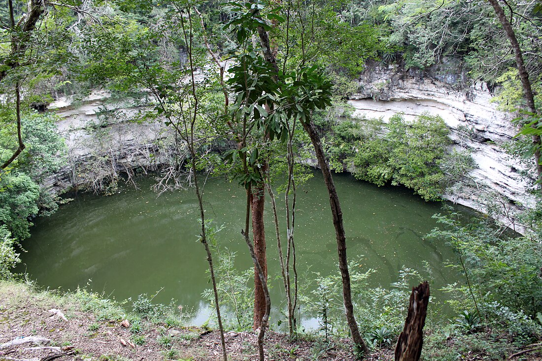 Cenote sagrat de Chichén Itzá