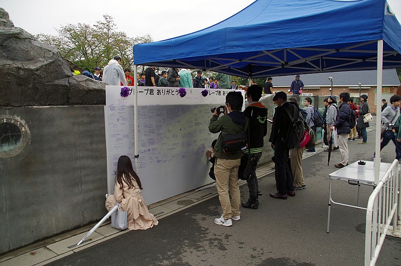 File:20171014 1630JST Temporary message board for mourn for Grape at Tobu zoo.jpg
