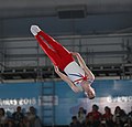 2018-10-14 Gymnastics at 2018 Summer Youth Olympics - Boys' Trampoline Gymnastics - Final (Martin Rulsch) 136.jpg