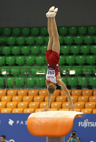 File:2019-06-27 1st FIG Artistic Gymnastics JWCH Men's All-around competition Subdivision 3 Vault (Martin Rulsch) 013.jpg