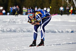 Kerttu Niskanen: Nuorten arvokilpailut, Aikuisten arvokilpailut, Maailmancup