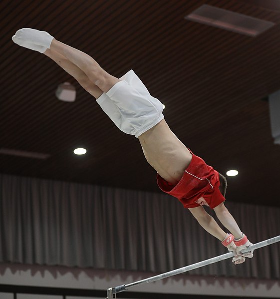 File:2021-12-11 CGC Bettembourg 2021 Training Men 11 December Horizontal bar (Martin Rulsch) 064.jpg