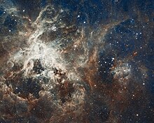 Tarantula Nebula, the largest starburst region in the local group. 30 Doradus, Tarantula Nebula.jpg