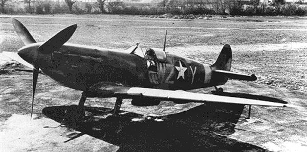 Spitfire V of the 309th Fighter Squadron 31st Fighter Group