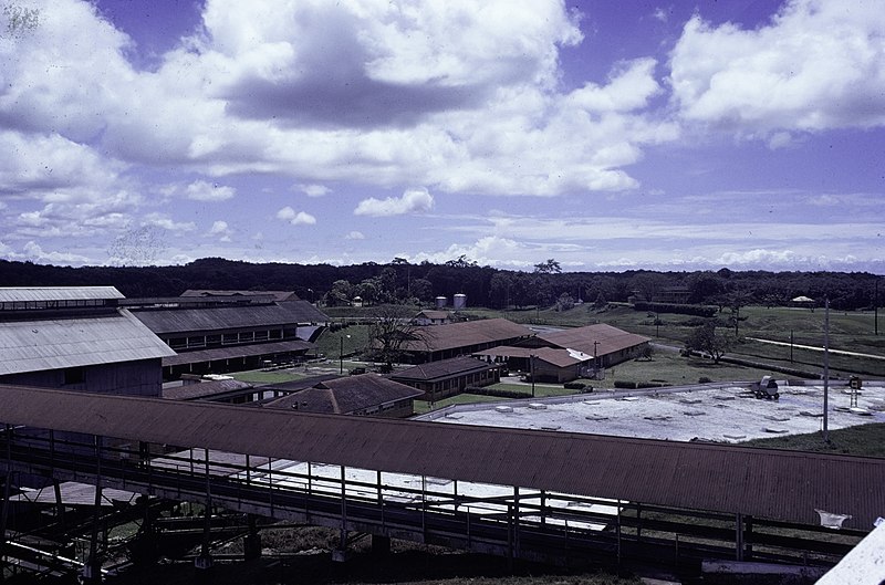 File:ASC Leiden - F. van der Kraaij Collection - 13 - 022 - The Firestone rubber plantation. Overview of the latex factory with several buildings - Harbel, Montserrado county, Liberia - 1976.jpg