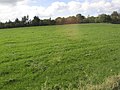 A field with a boundary - geograph.org.uk - 2114715.jpg
