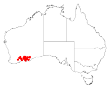 Acacia evenulosaDistMap339.png