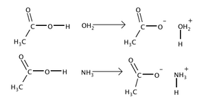 Acid-base.png