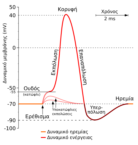 File:Aktionspotential el.svg