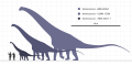 Alamosaurus compared to a human
