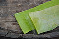 Aloe vera leaf showing the gel (1).JPG