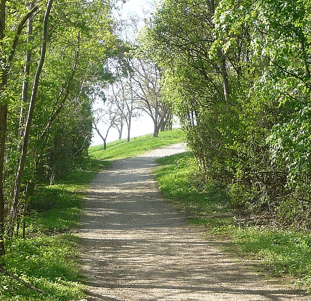 File:Am Monte Scherbelino - panoramio - Immanuel Giel.jpg