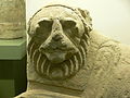 Amsterdam - Allard Pierson Museum - Oxyrhynchus lying lion (head).JPG